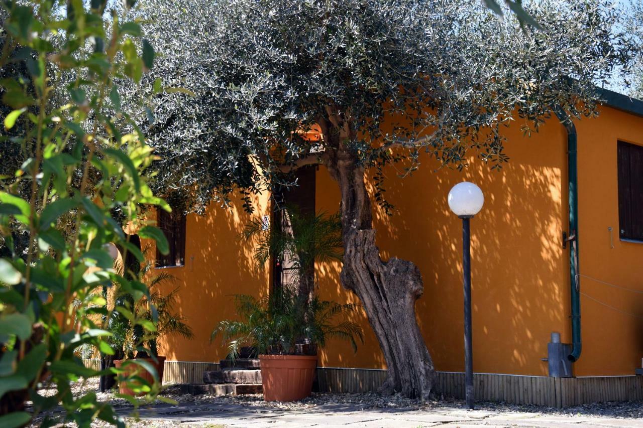 Riviera Degli Eucalipti - Cottage In Riva Al Mare Acireale Exterior foto